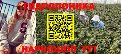 ешки Волжский
