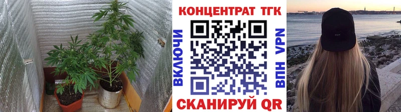 Дистиллят ТГК THC oil купить цена Шумерля